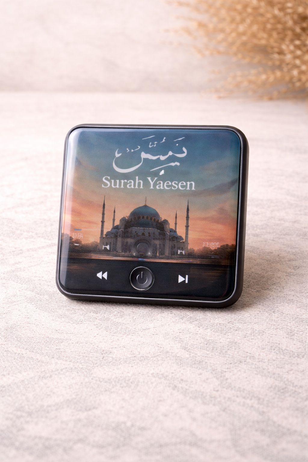 Écouteurs Coraniques